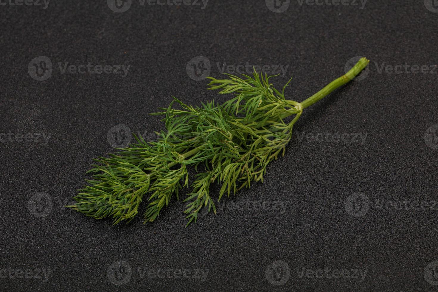 Aroma seasoning - Green Dill branch photo