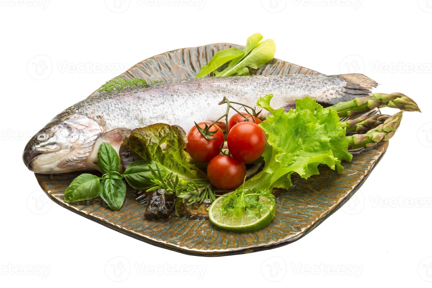 Fresh raw rainbow trout photo