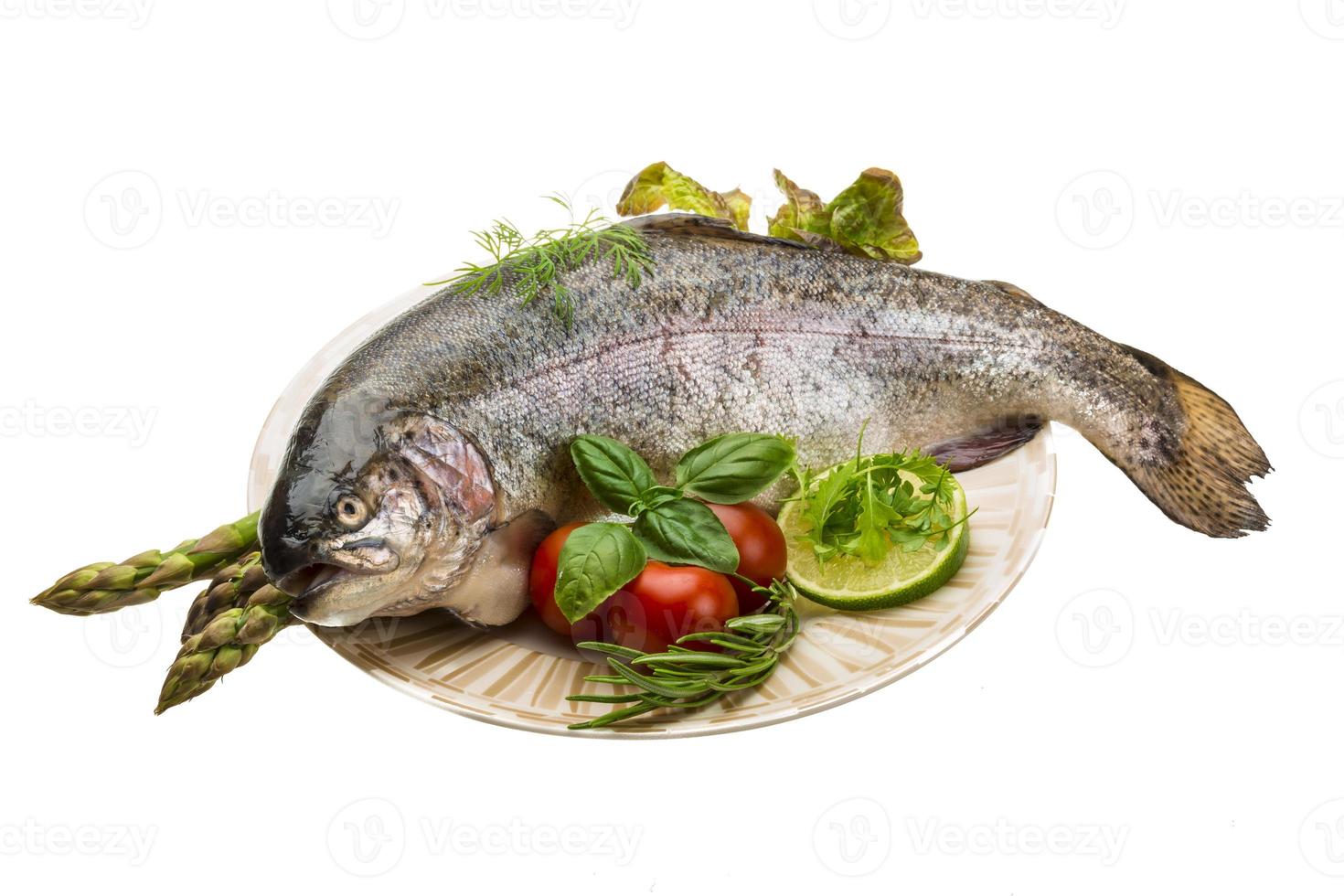 Fresh raw rainbow trout photo
