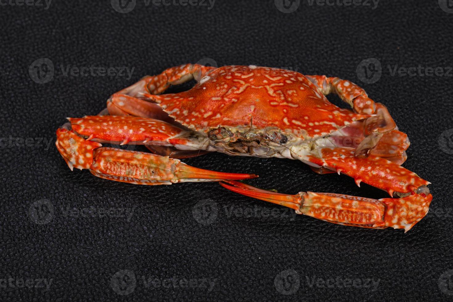 Boiled crab - ready for eat photo