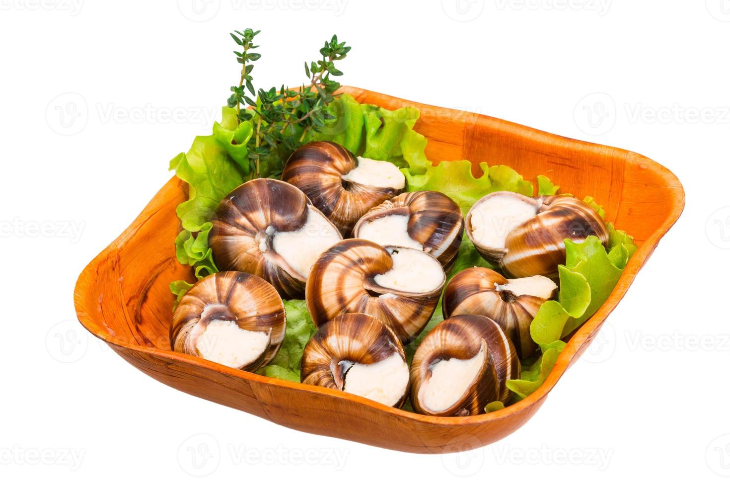 Escargot snails on a plate photo