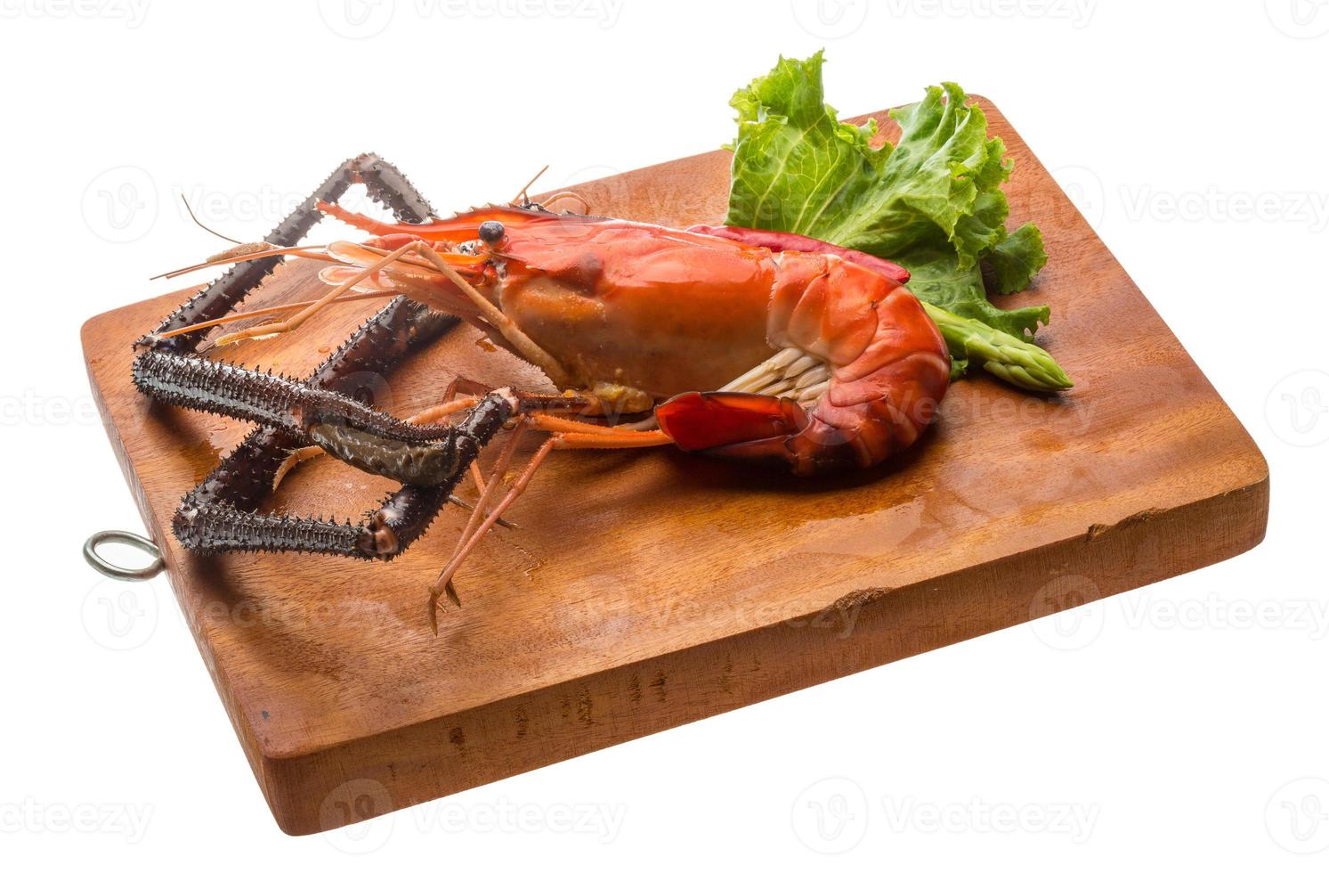 Giant Freshwater Prawn photo