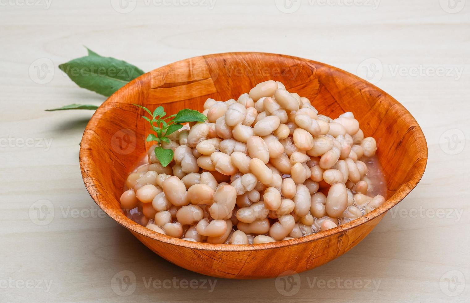 White canned beans photo
