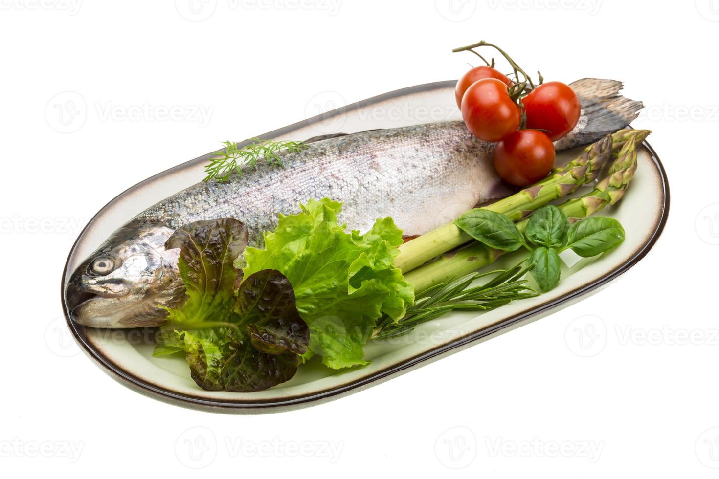 Fresh raw rainbow trout photo