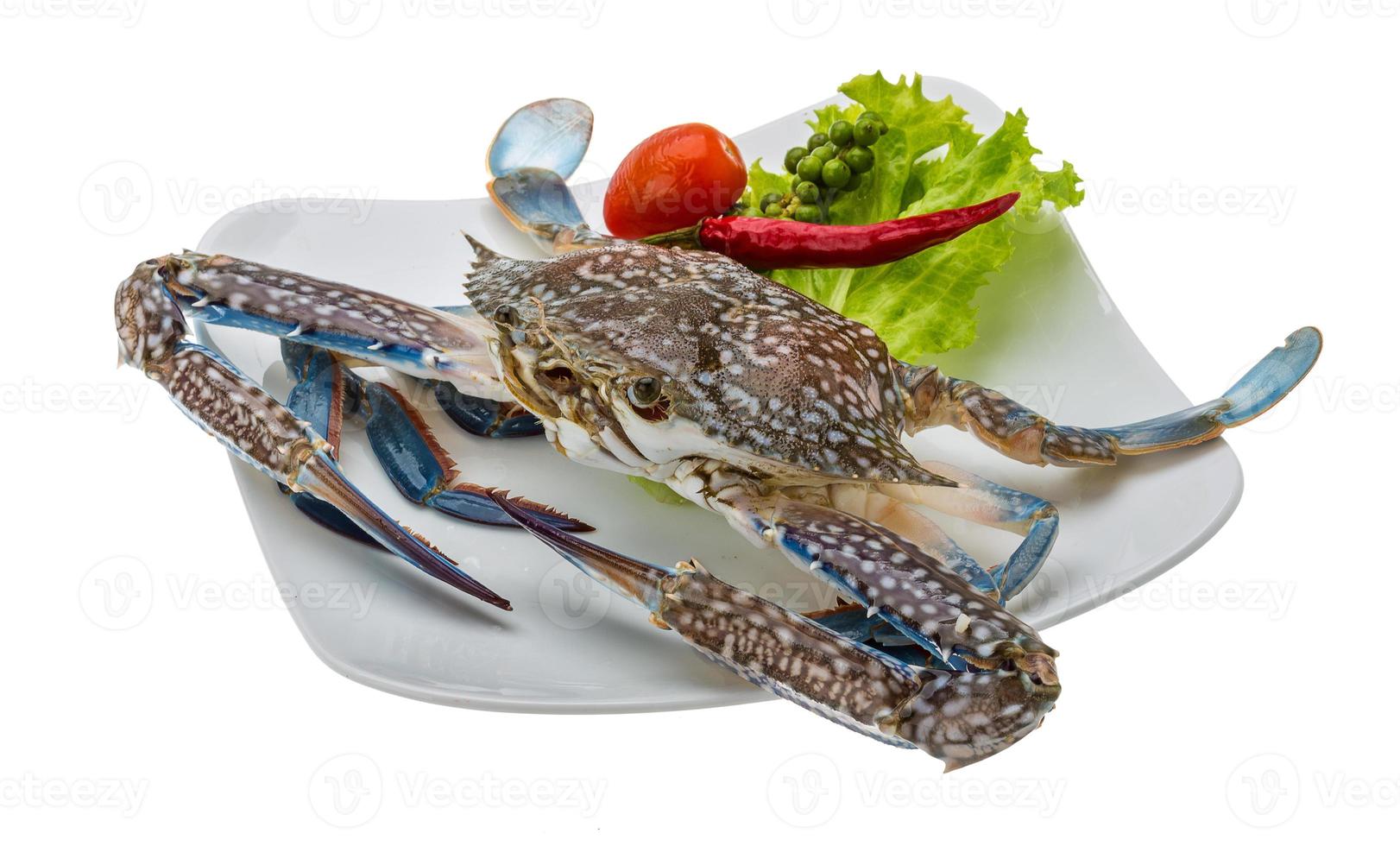 Raw blue crab photo