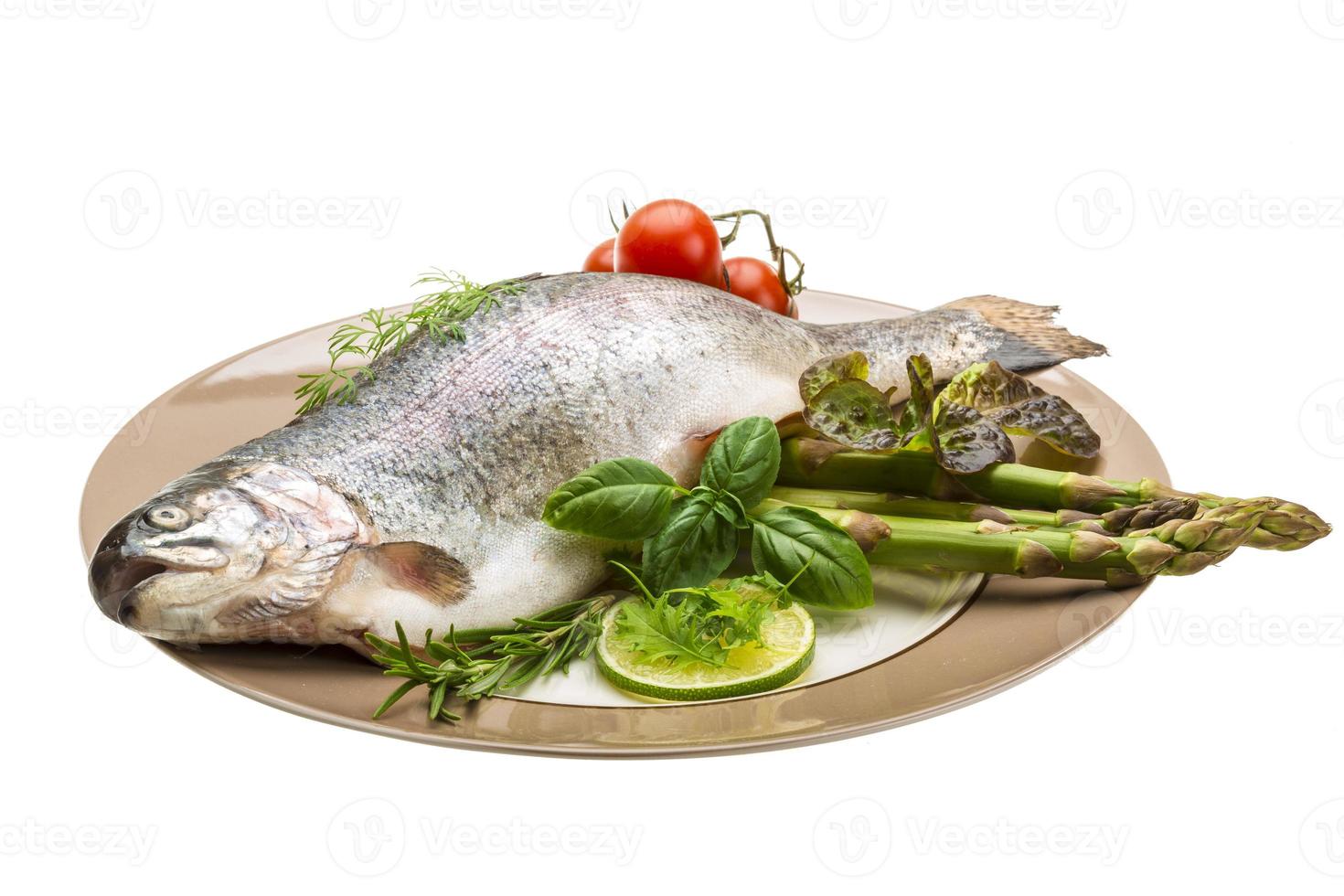 Fresh raw rainbow trout photo