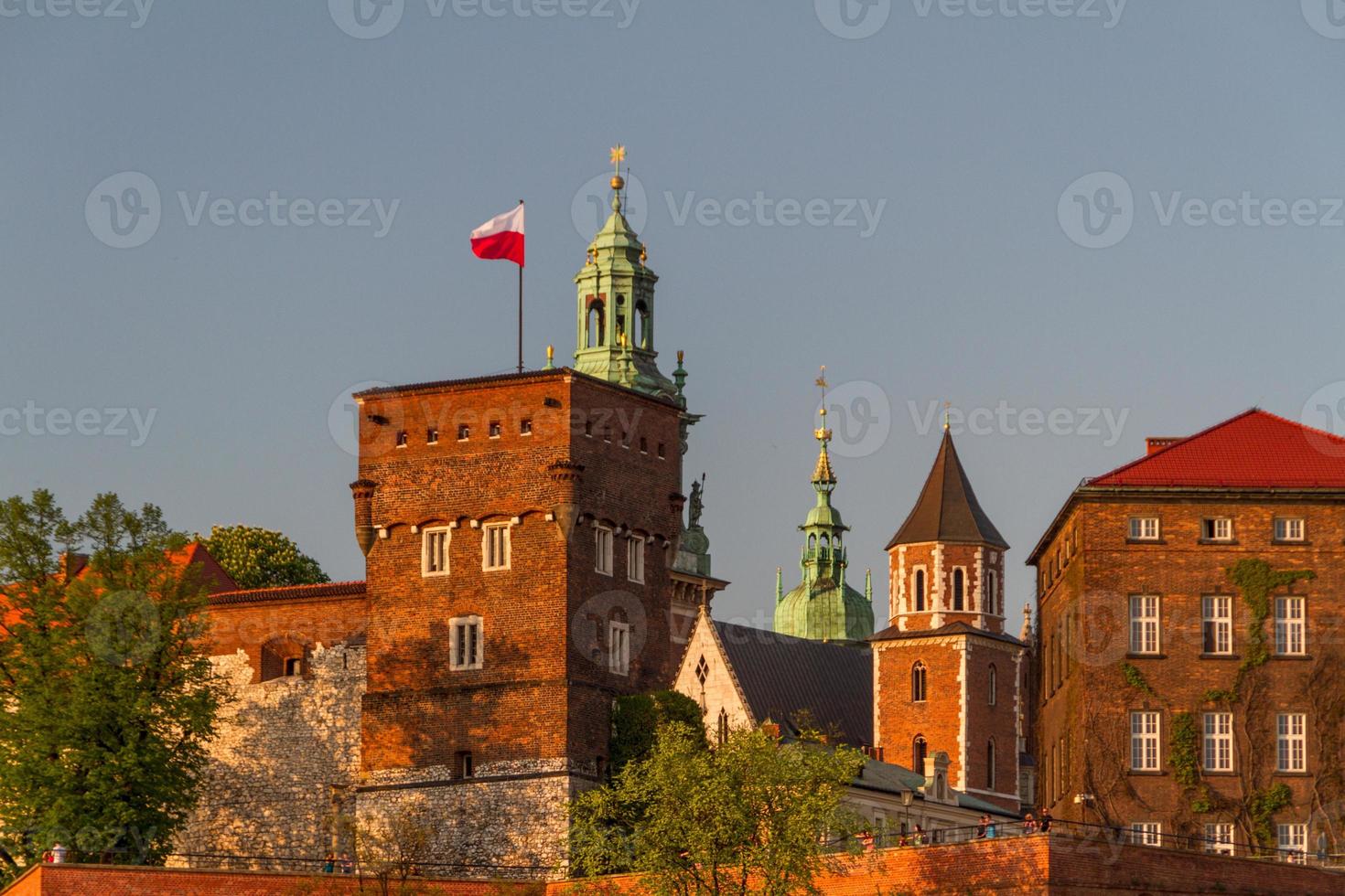 Royal castle in Wawel, Krarow photo