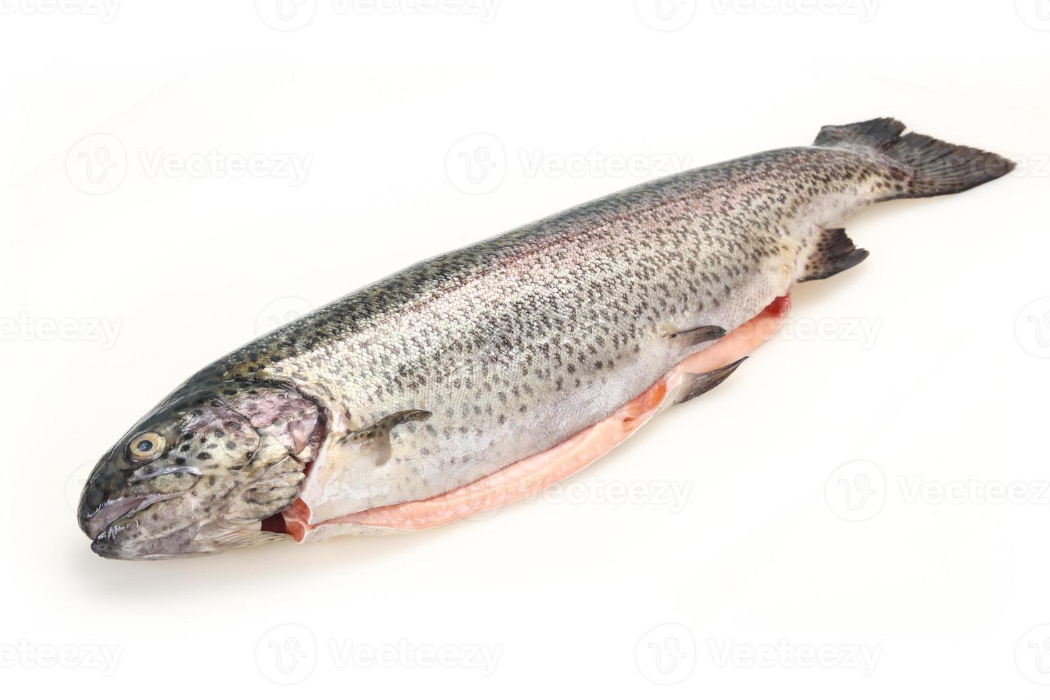 Raw trout fish isolated on white photo