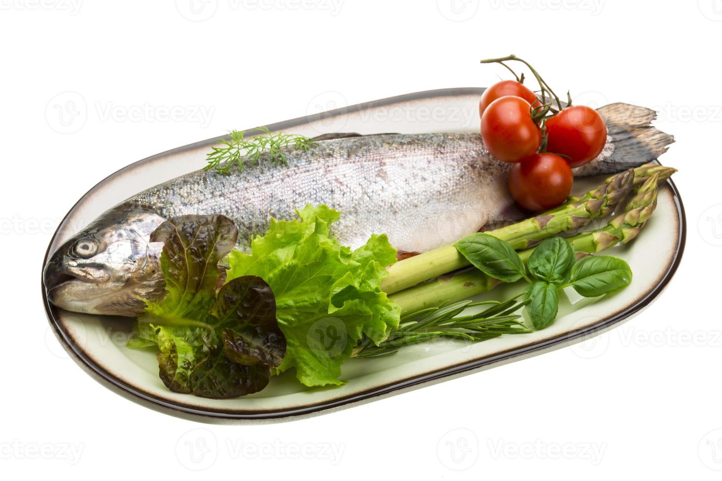 Fresh raw rainbow trout photo