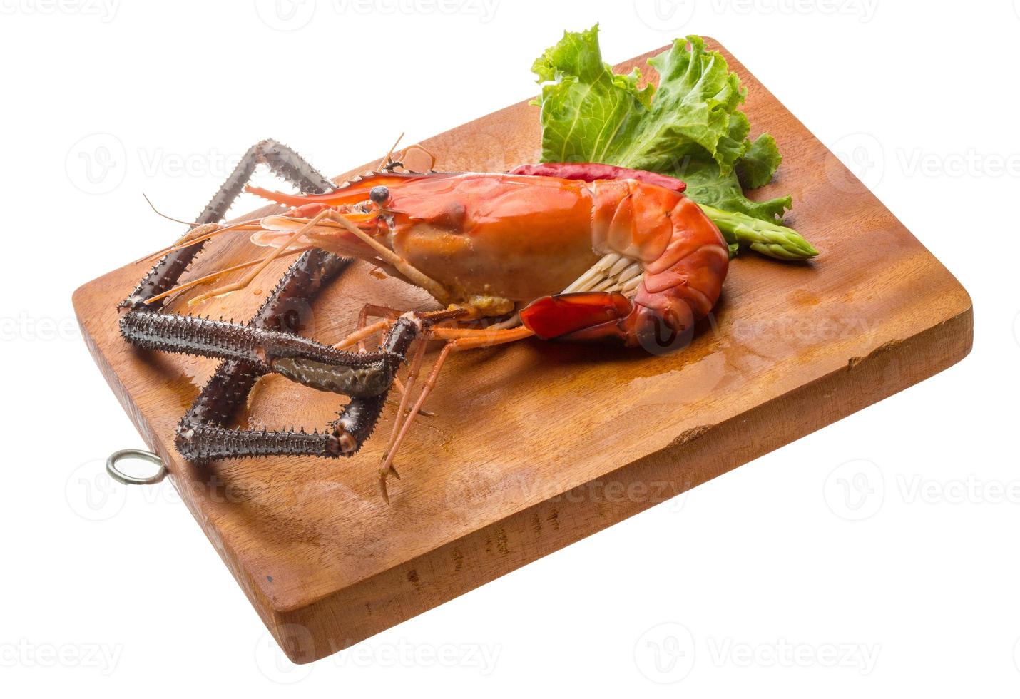 Giant Freshwater Prawn photo