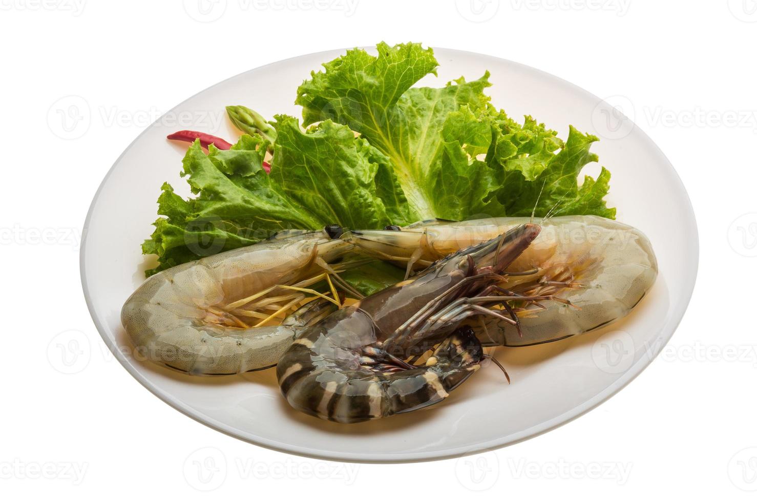 King and waterleg shrimps photo