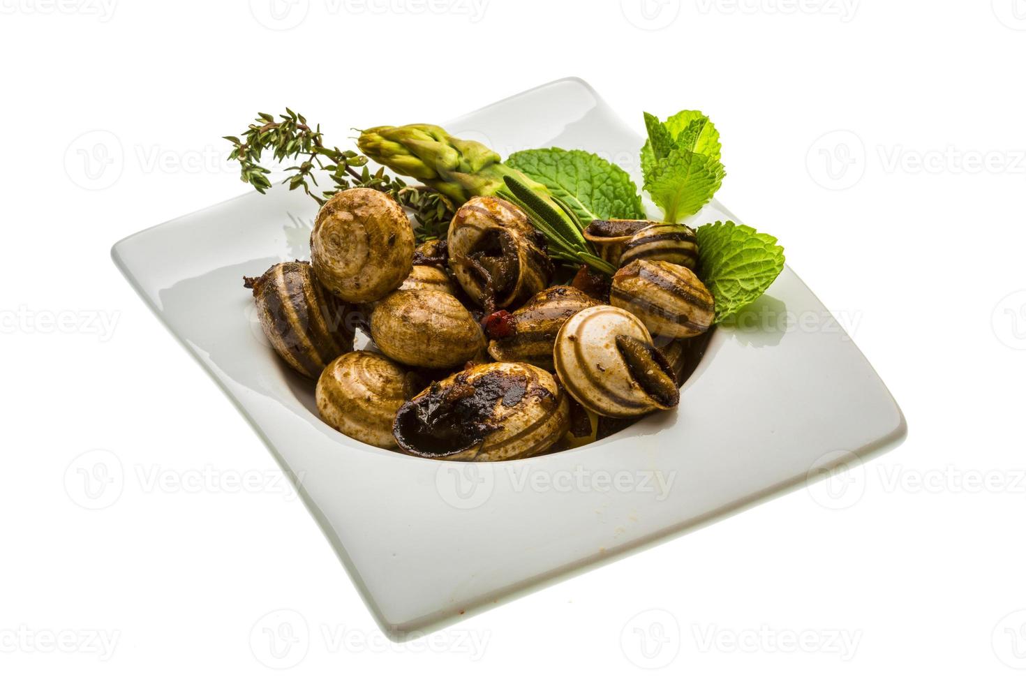 Escargot with asparagus, rosemary, thymus and tomato photo