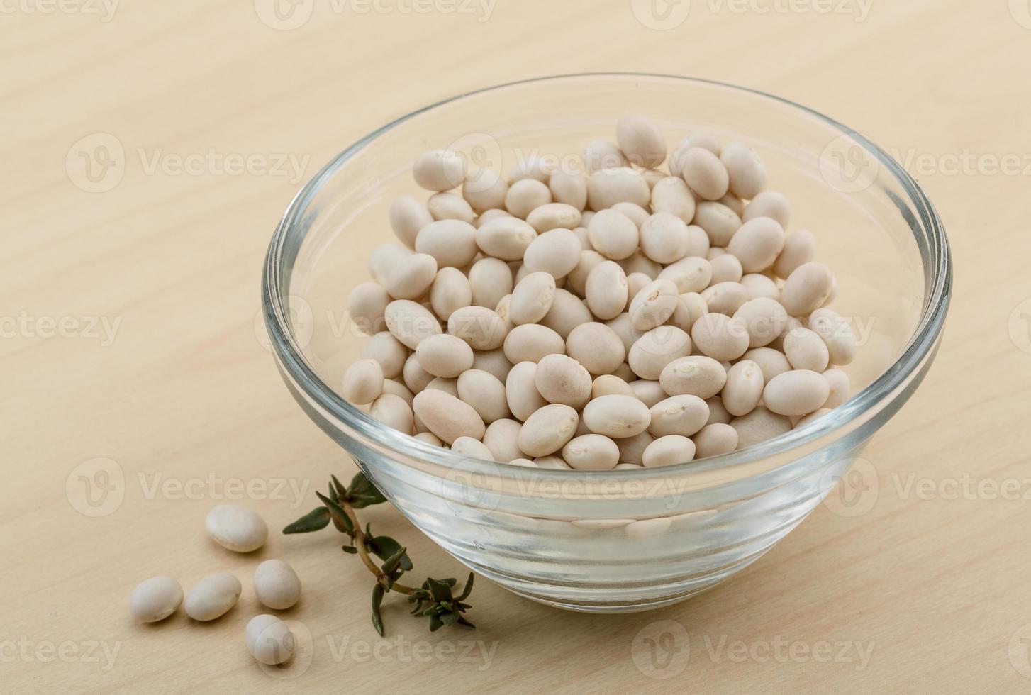 White dry beans photo