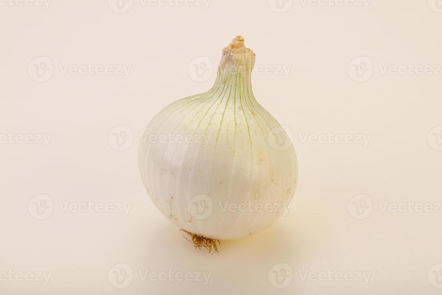White ripe sweet onion vegetable photo