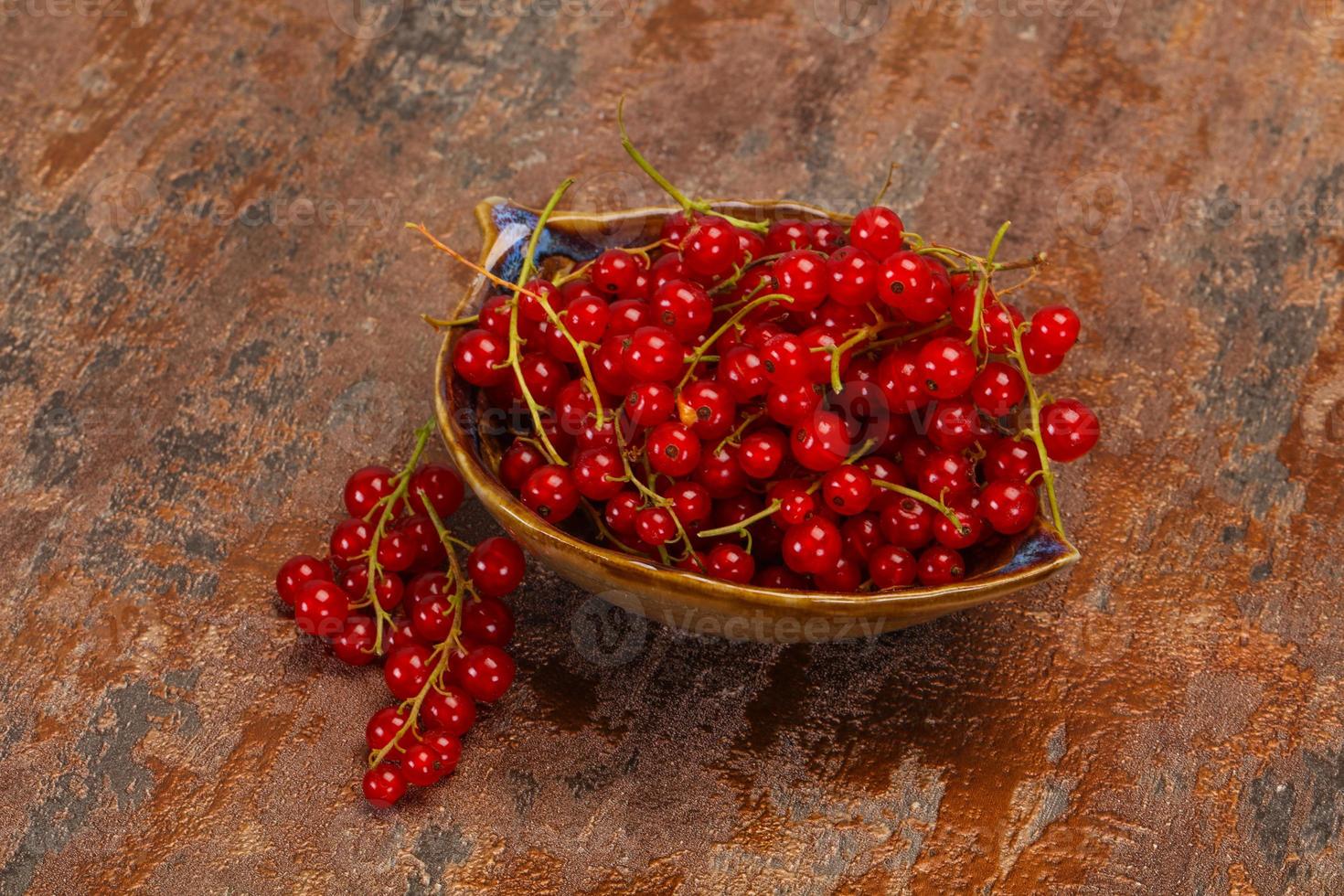 Sweet tasty fresh Red currant photo