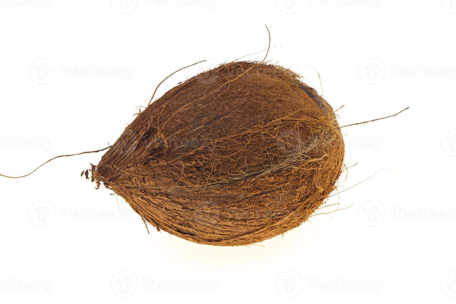 Coconut isolated on white background photo