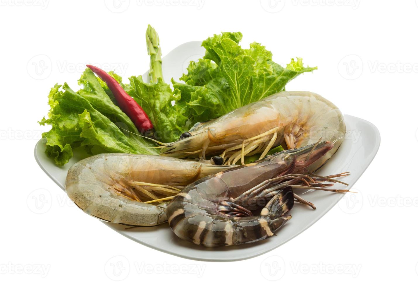 King and waterleg shrimps photo