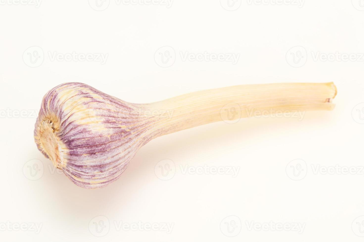 Raw young Garlic isolated on white photo