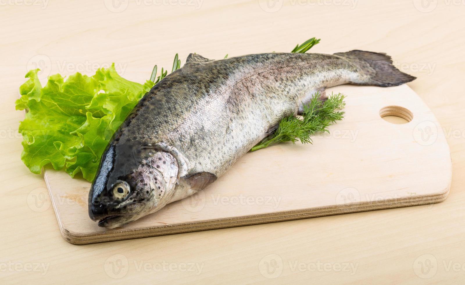 Raw fresh trout photo