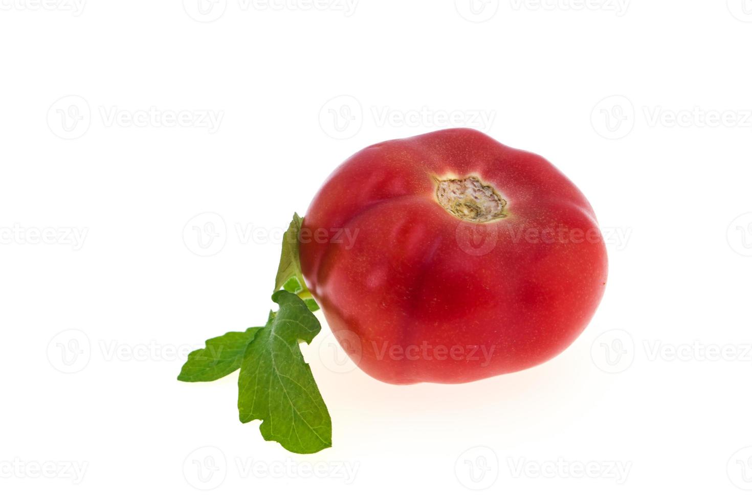 Tomato isolated on white background photo