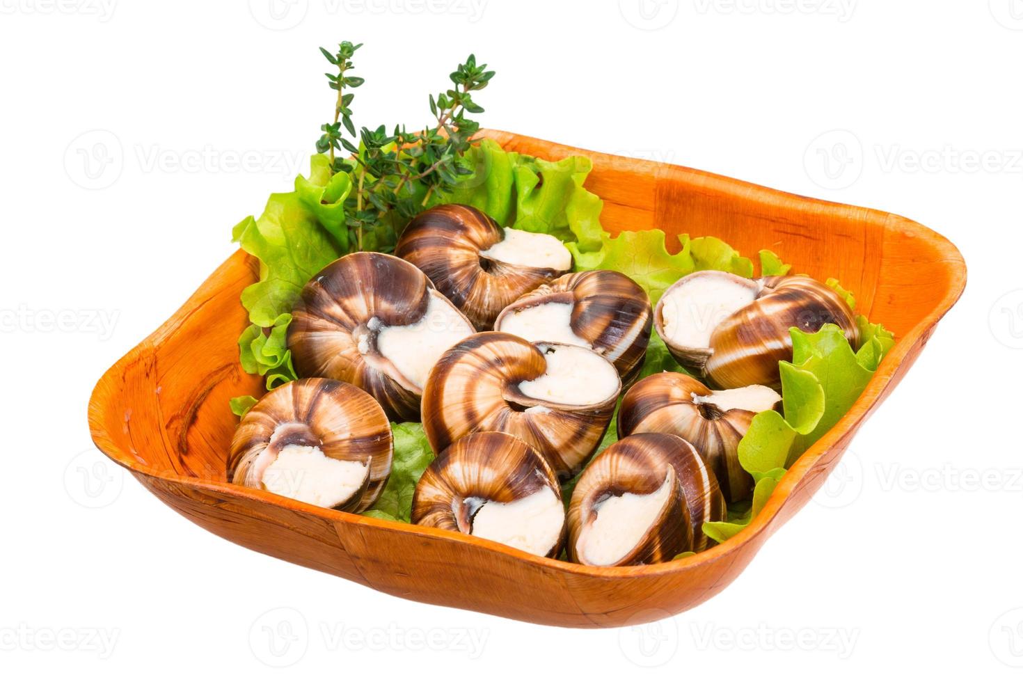 Escargot snails on a plate photo