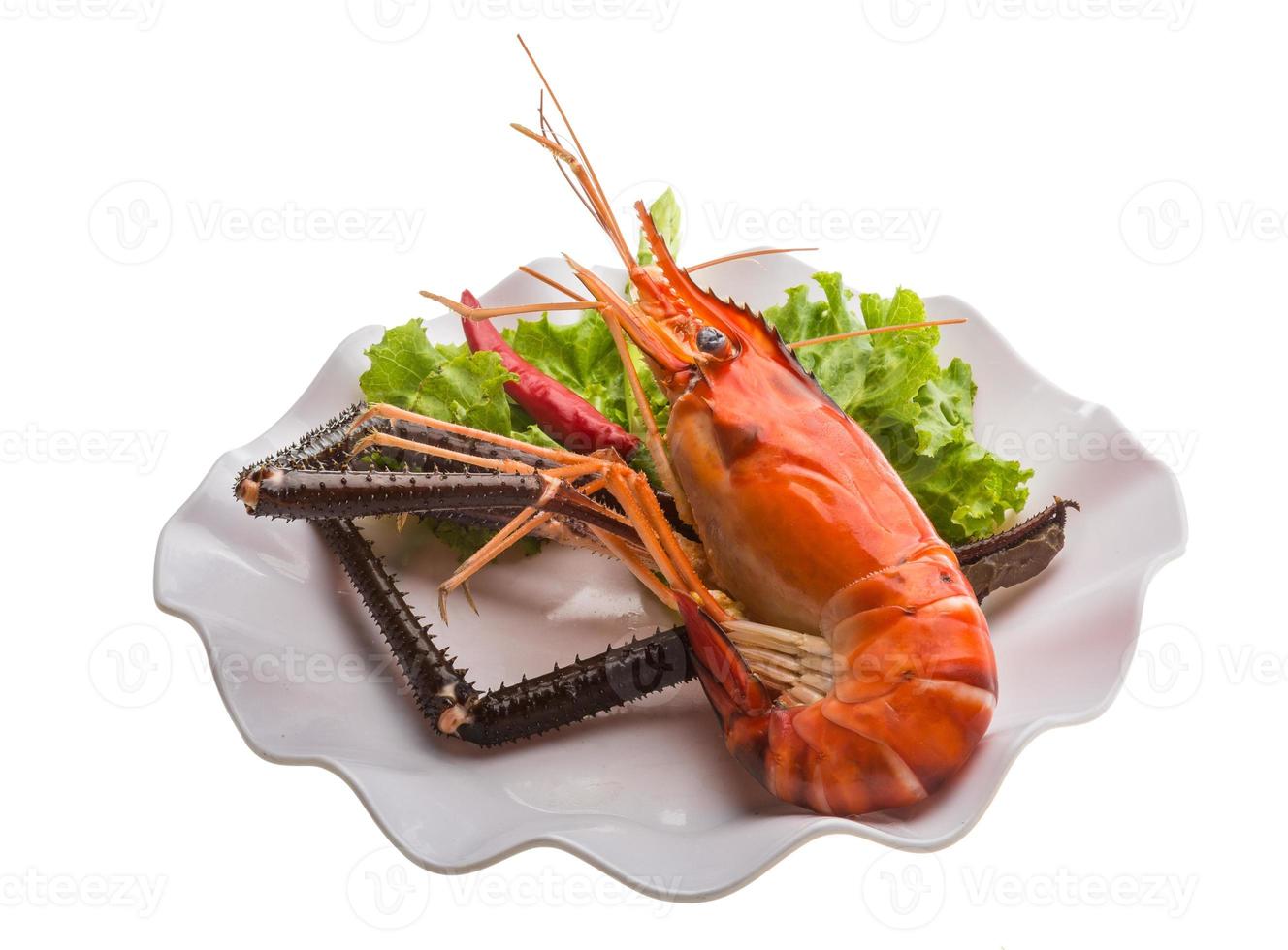 Giant Freshwater Prawn photo