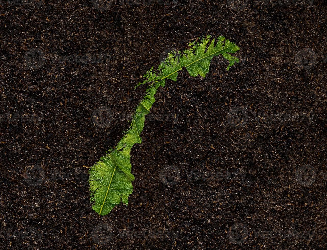 Norway map made of green leaves on soil background ecology concept photo