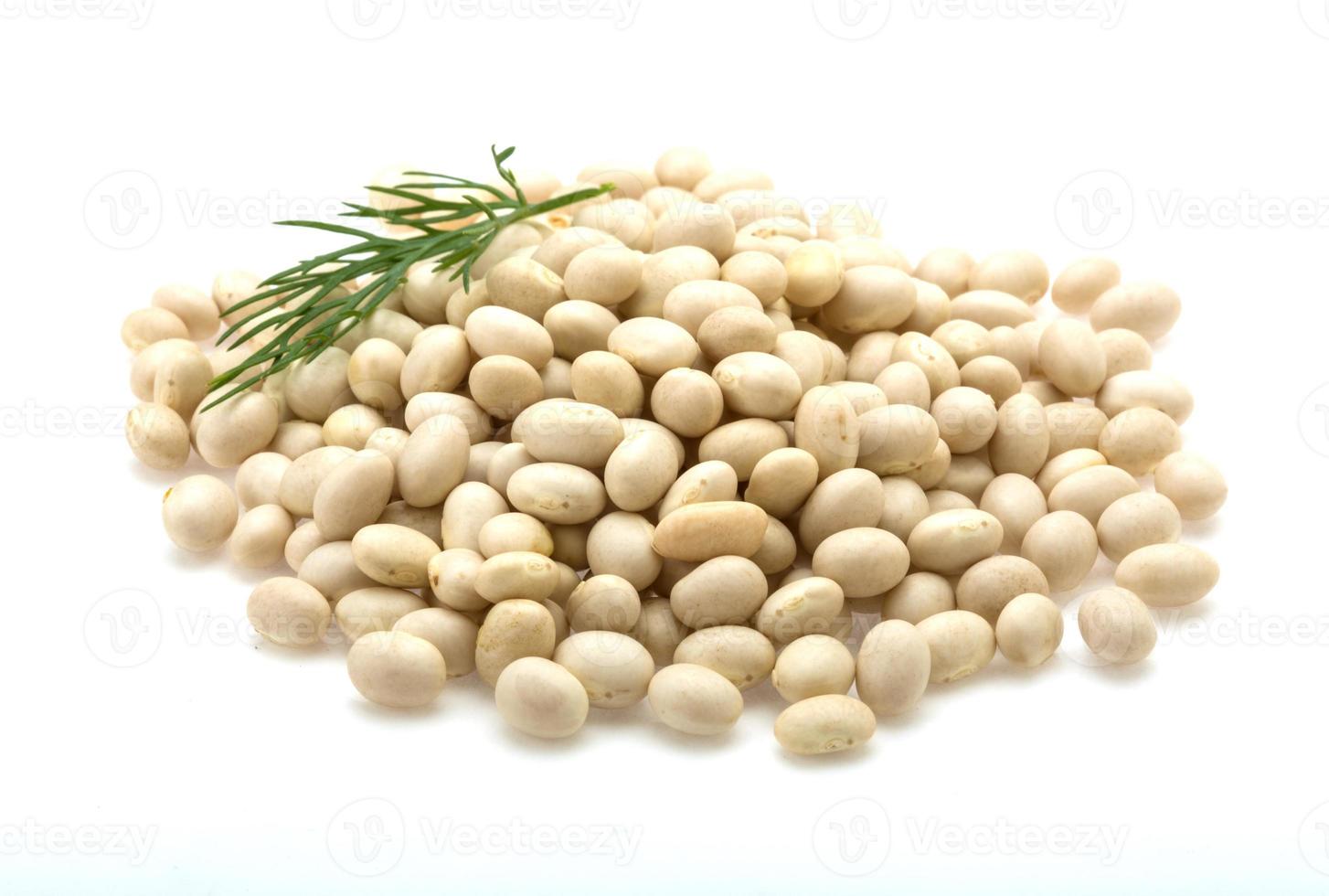 White dry beans photo