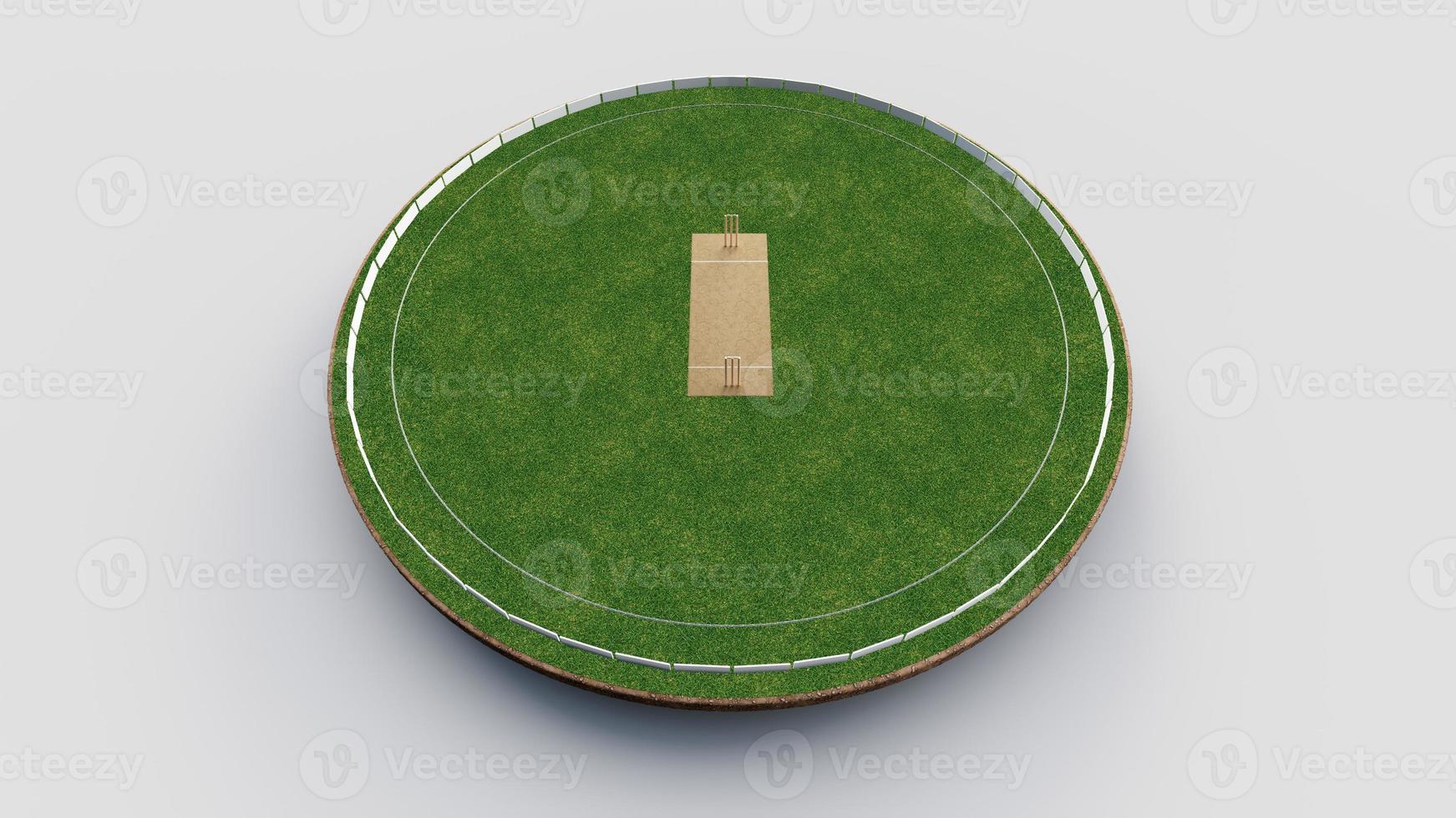 Cricket Stadium Top view on cricket pitch or ball sport game field, grass stadium or circle arena for cricketer series, green lawn or ground for batsman, bowler. Outfield 3D Illustration photo