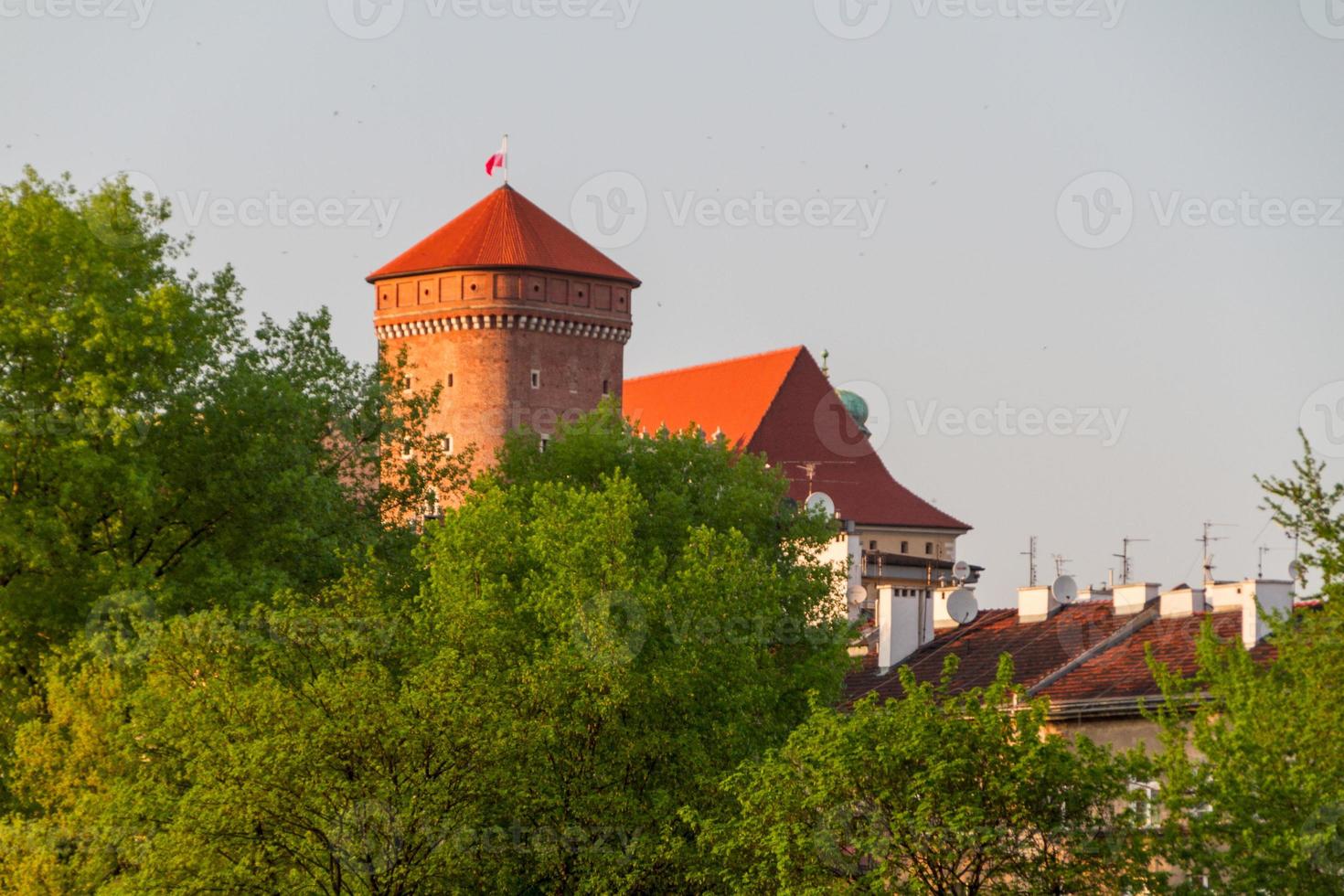 Royal castle in Wawel, Krarow photo