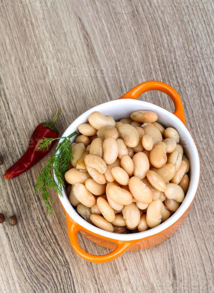 Canned white beans photo