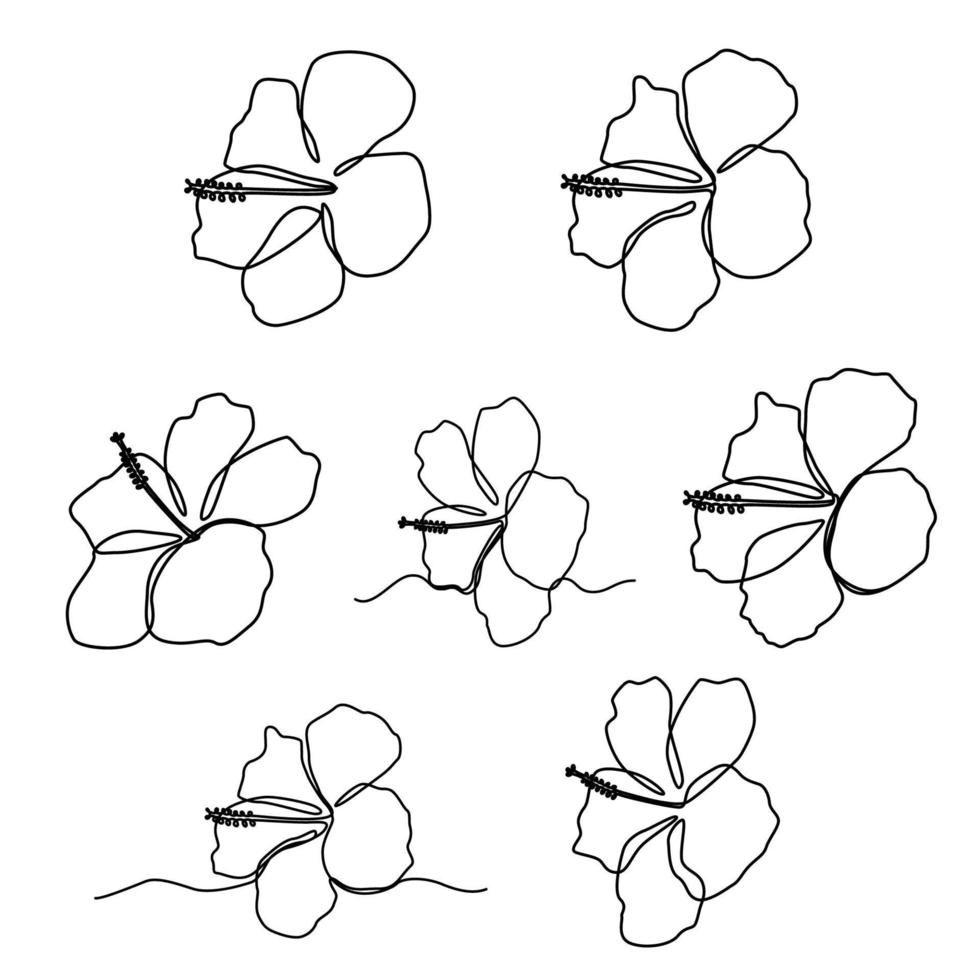 Exotic hibiscus flower in one line drawing vector