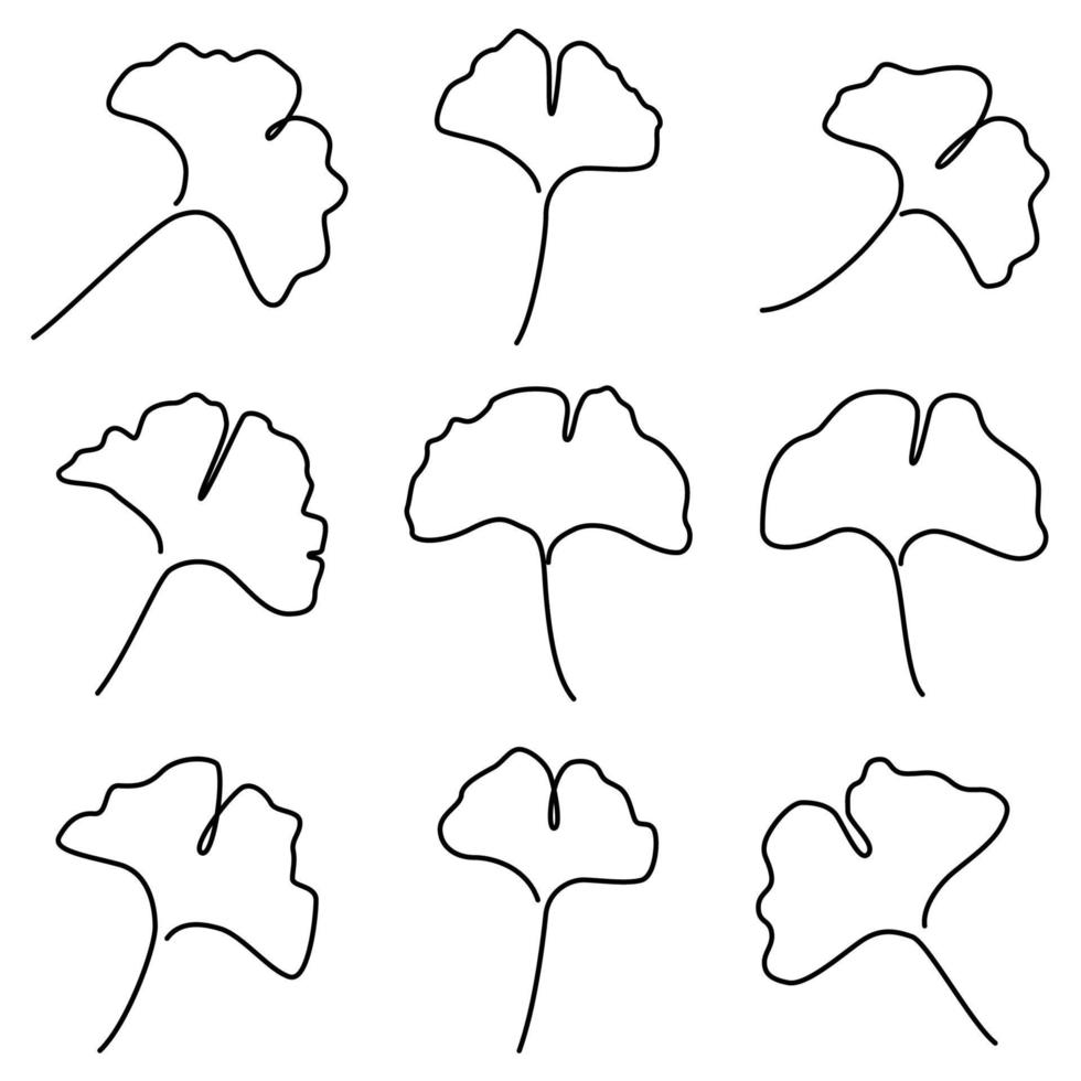 conjunto de ilustración continua de una línea de hoja de árbol de otoño de ginkgo vector