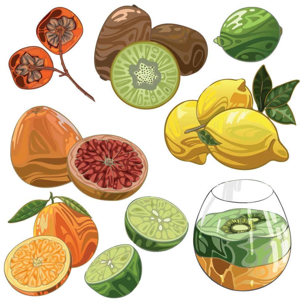 conjunto de frutas dibujadas a mano. kiwi, lima, cítricos, limón, caqui, pomelo. vector