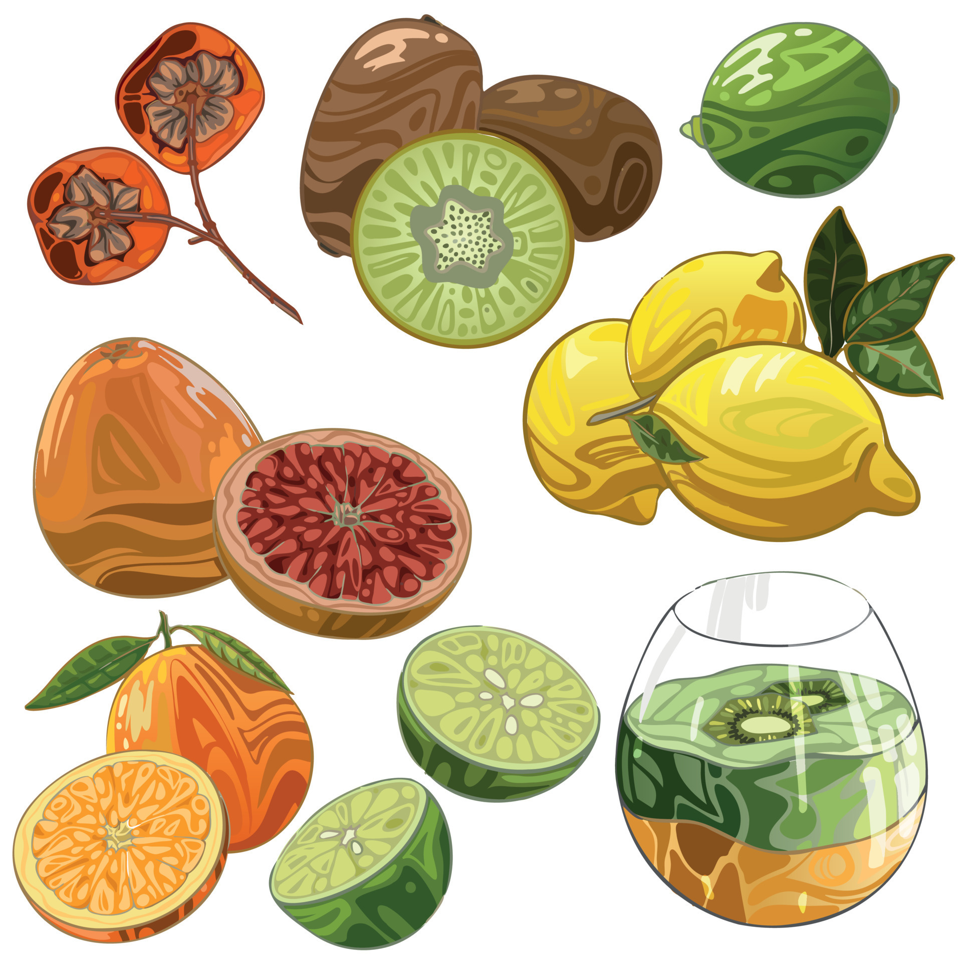 Set of hand drawn fruits. Kiwi, Lime, Citrus, Lemon, Persimmon