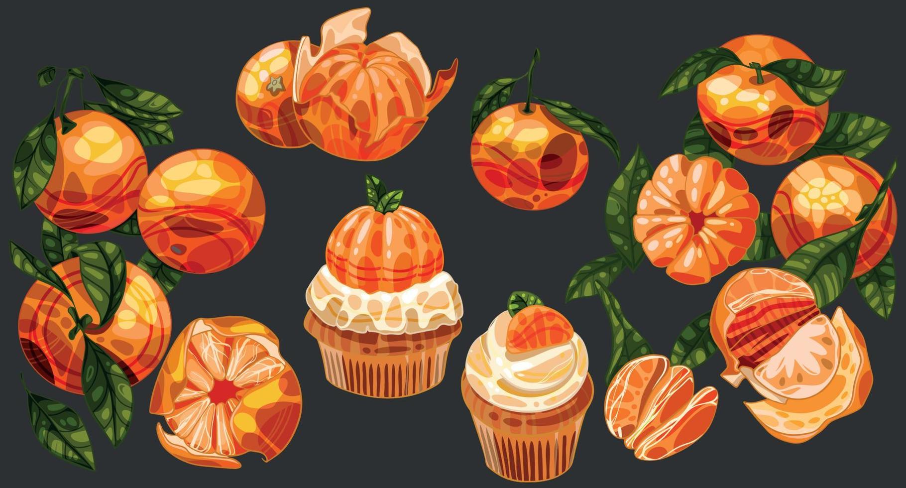 Set of hand drawn mandarines. Group of mandarines, sweet cake vector