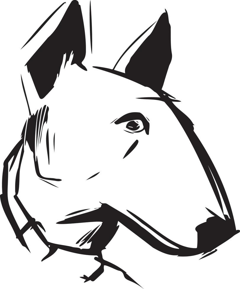 Hand drawn dog, bulterier vector