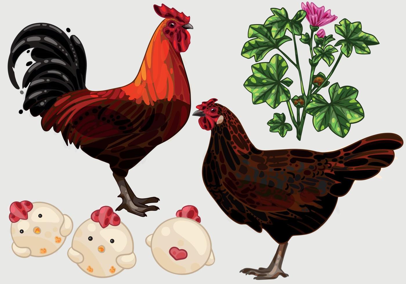 The hand drawn set of chicken. The breed of derbyshire vector