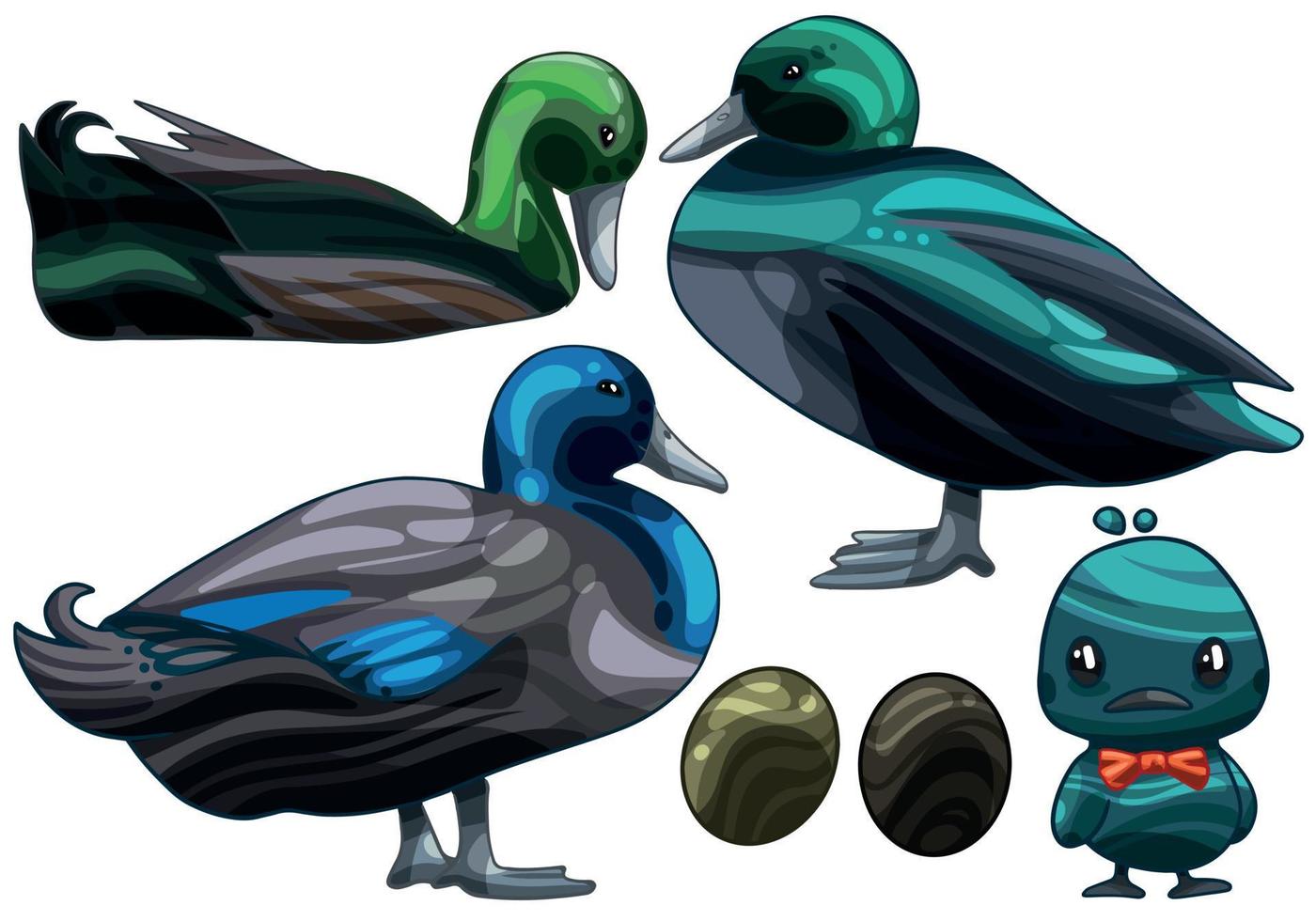 The hand drawn set of ducks. The breed of Black East Indie duck vector