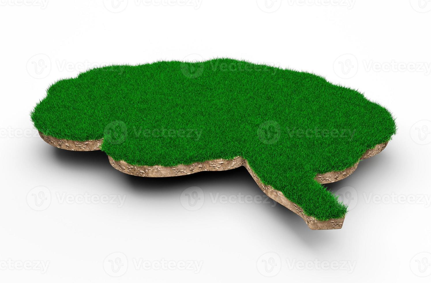 Brain shape made of green grass and Rock ground texture cross section with 3d illustration photo