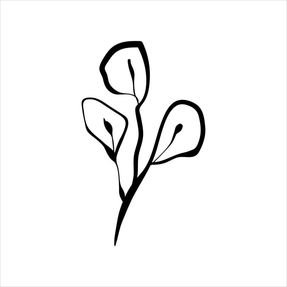 Hand drawn doodle branch. Minimalistic vector leaves. Botanical illustration.