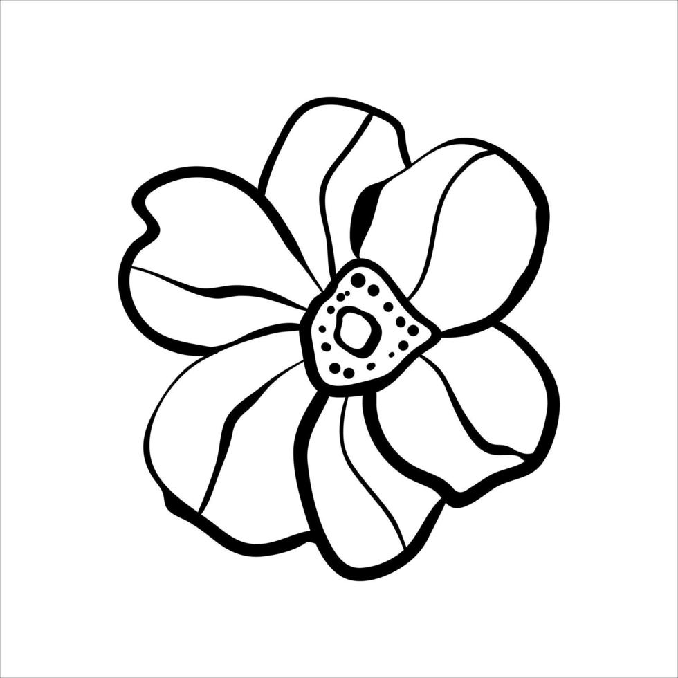 Hand drawn outline flower. Decorative floral element isolated on white background vector