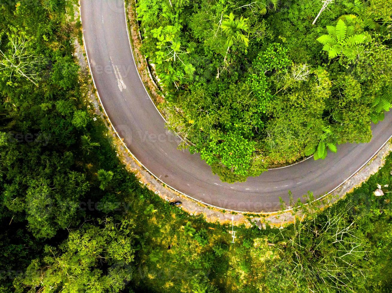 Aerial shot of road in the tropical forest photo