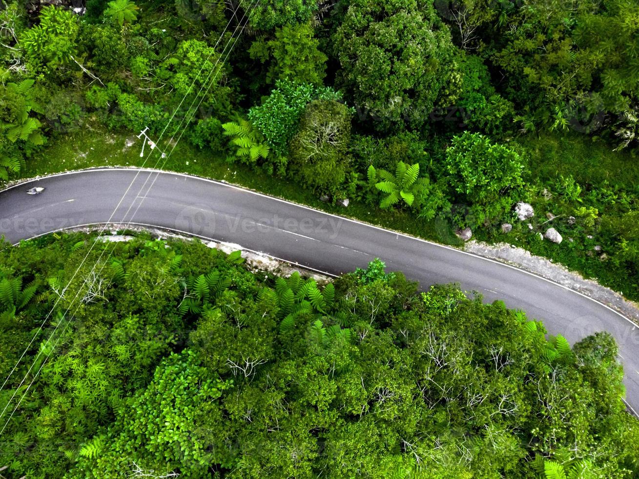 Aerial shot of road in the tropical forest photo