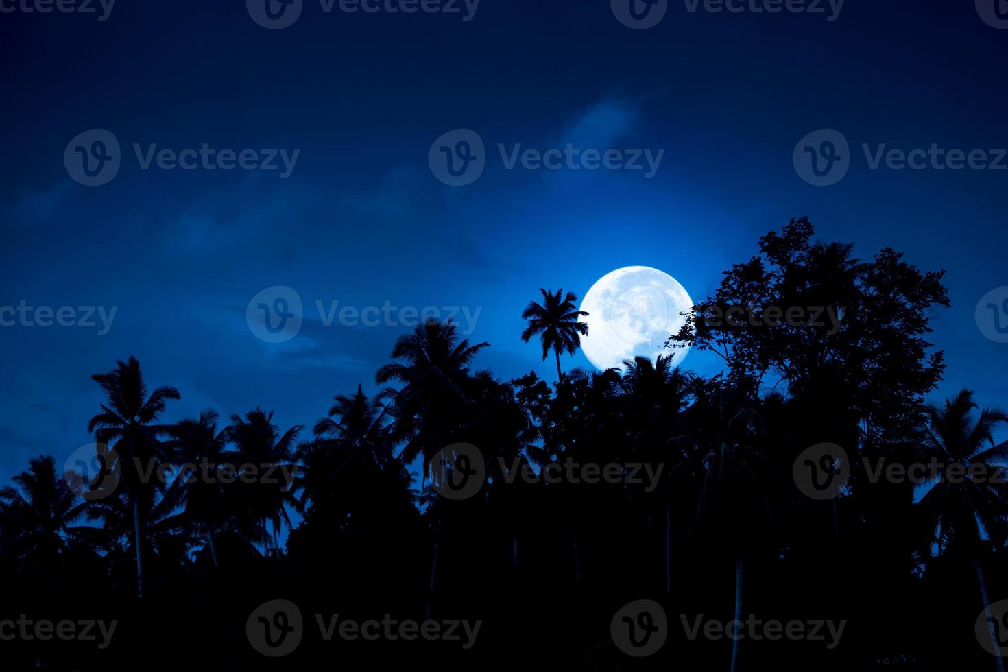 Full moon rising behind tropical forest photo