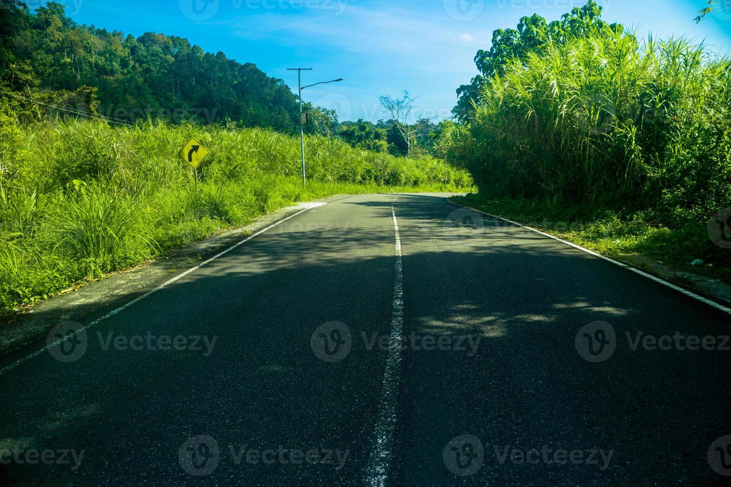 camino vacío en el bosque de montaña foto