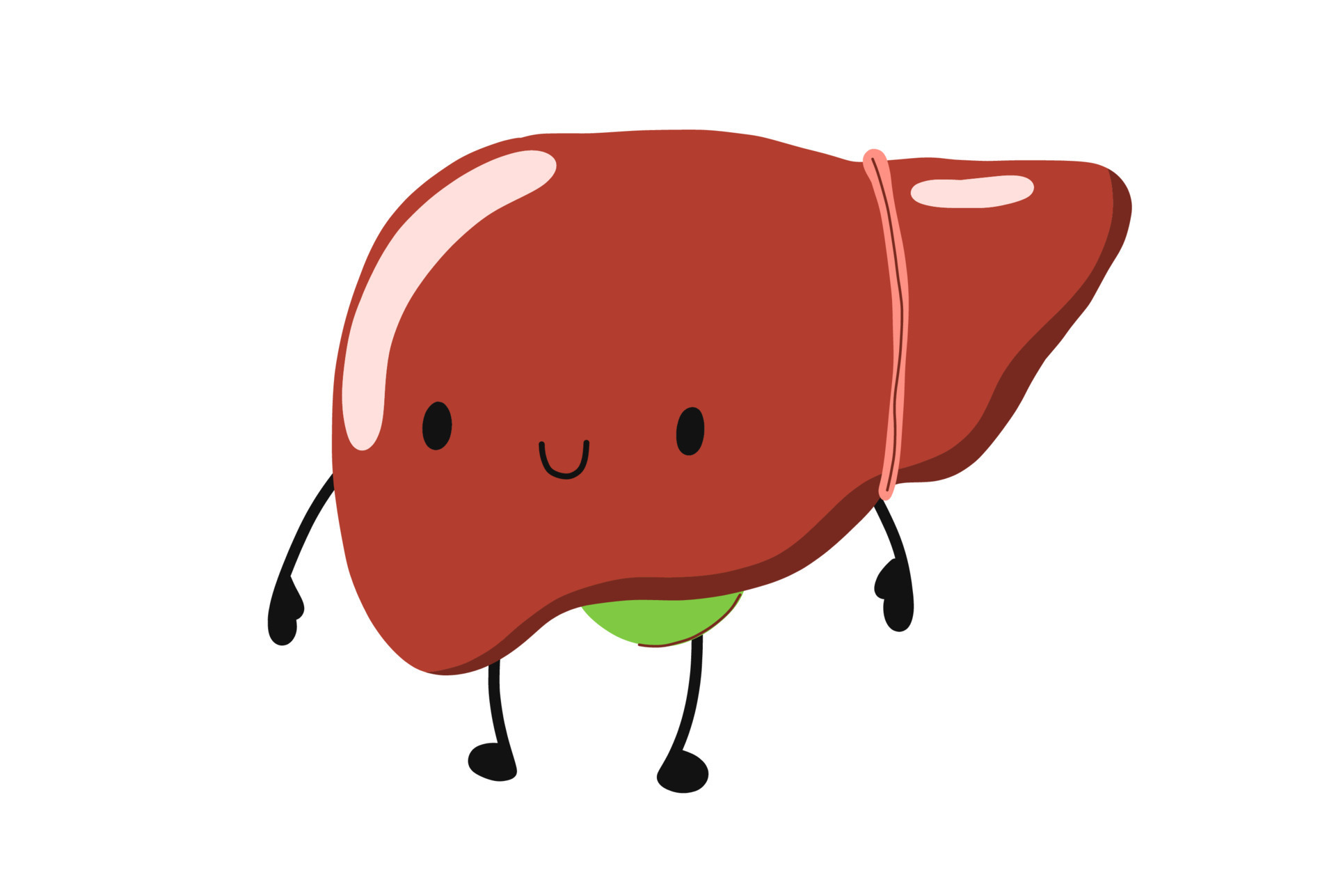 Liver Cartoon Vector Art, Icons, and Graphics for Free Download