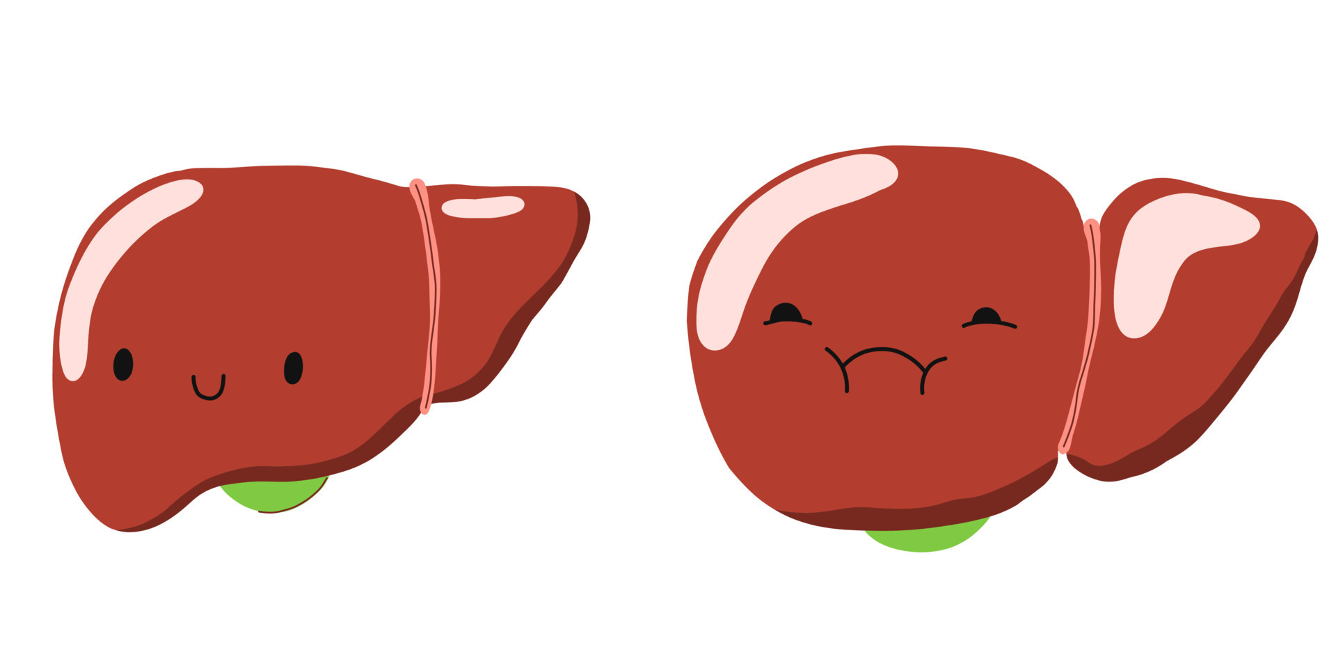 Liver disease. Cirrhosis. Sick and healthy liver character