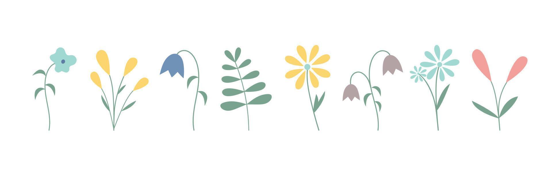 Summer minimal pastel flowers set vector