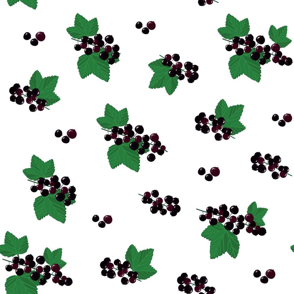 Pattern with vector black berries - black currant and green leaves